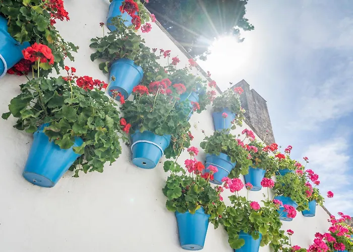 Obal Hotel Marbellac