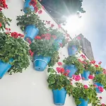 Obal فندق ماربيا