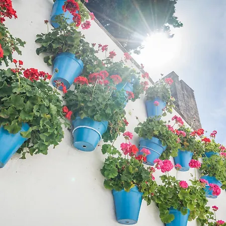 San Cristóbal Hotel Marbella